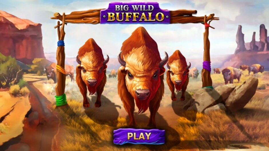 Big Wild Buffalo (Belatra)