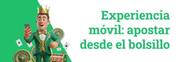 Experiencia movil